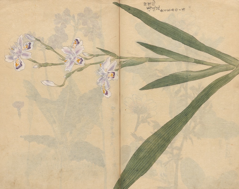 Sketchbook Pl.031 by Ariyoshi Kondo, 1826-1840 — digital art print download