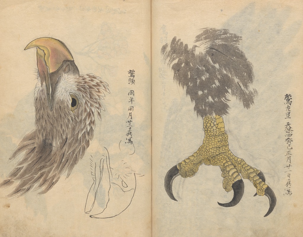 Sketchbook Pl.035 by Ariyoshi Kondo, 1826-1840 — digital art print download