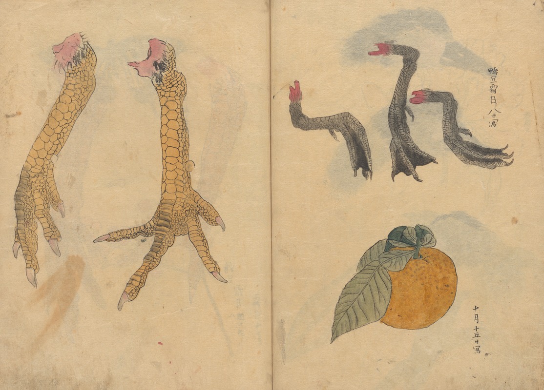 Sketchbook Pl.038 by Ariyoshi Kondo, 1826-1840 — digital art print download