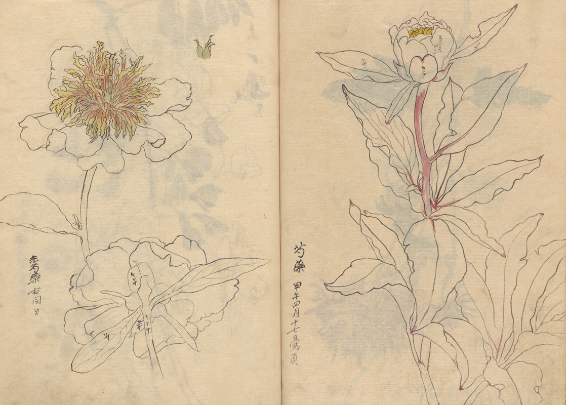 Sketchbook Pl.040 by Ariyoshi Kondo, 1826-1840 — digital art print download