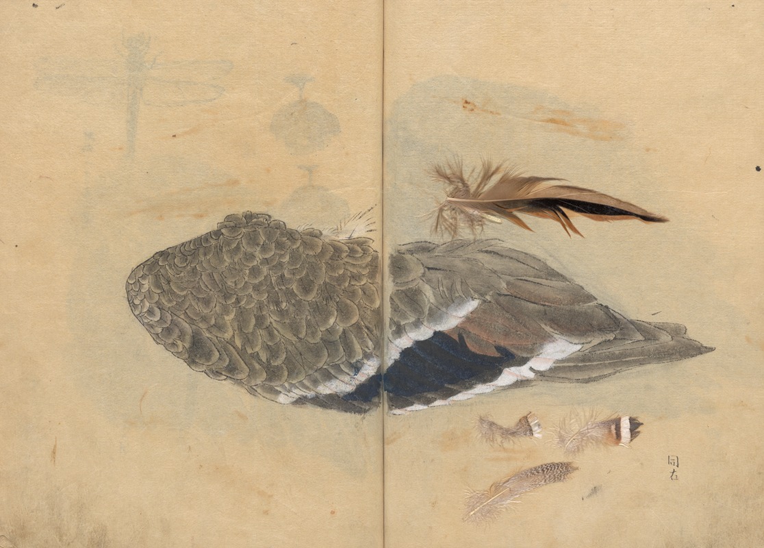 Sketchbook Pl.047 by Ariyoshi Kondo, 1826-1840 — digital art print download