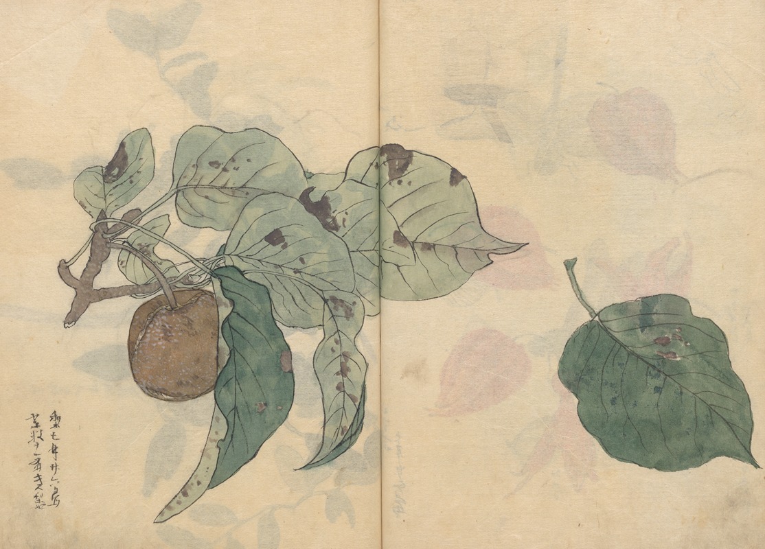 Sketchbook Pl.050 by Ariyoshi Kondo, 1826-1840 — digital art print download