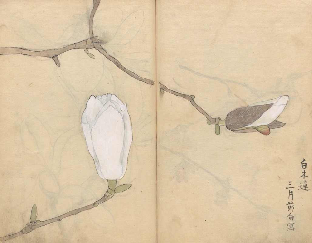 Sketchbook Pl.051 by Ariyoshi Kondo, 1826-1840 — digital art print download