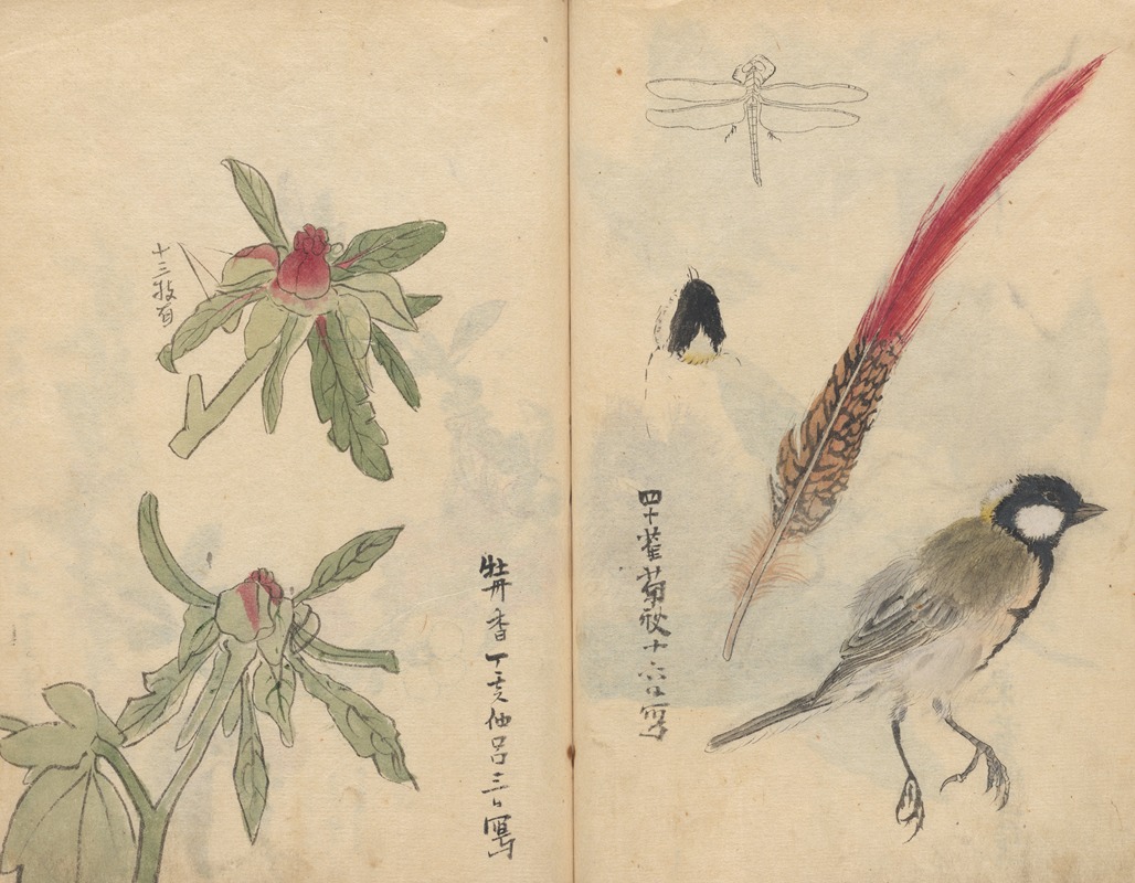 Sketchbook Pl.053 by Ariyoshi Kondo, 1826-1840 — digital art print download