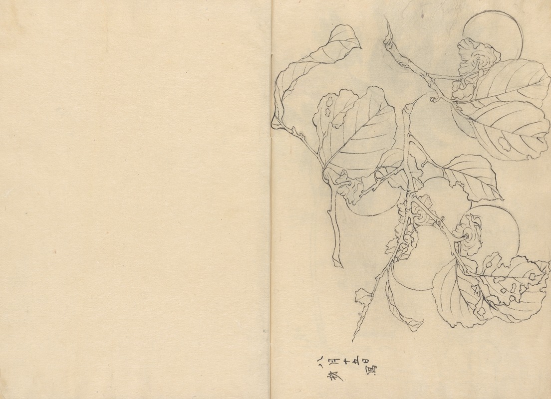 Sketchbook Pl.054 by Ariyoshi Kondo, 1826-1840 — digital art print download