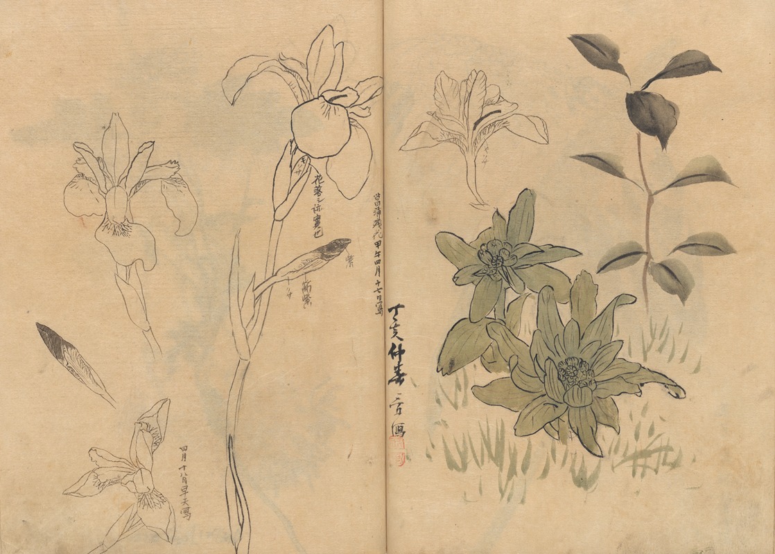 Sketchbook Pl.055 by Ariyoshi Kondo, 1826-1840 — digital art print download