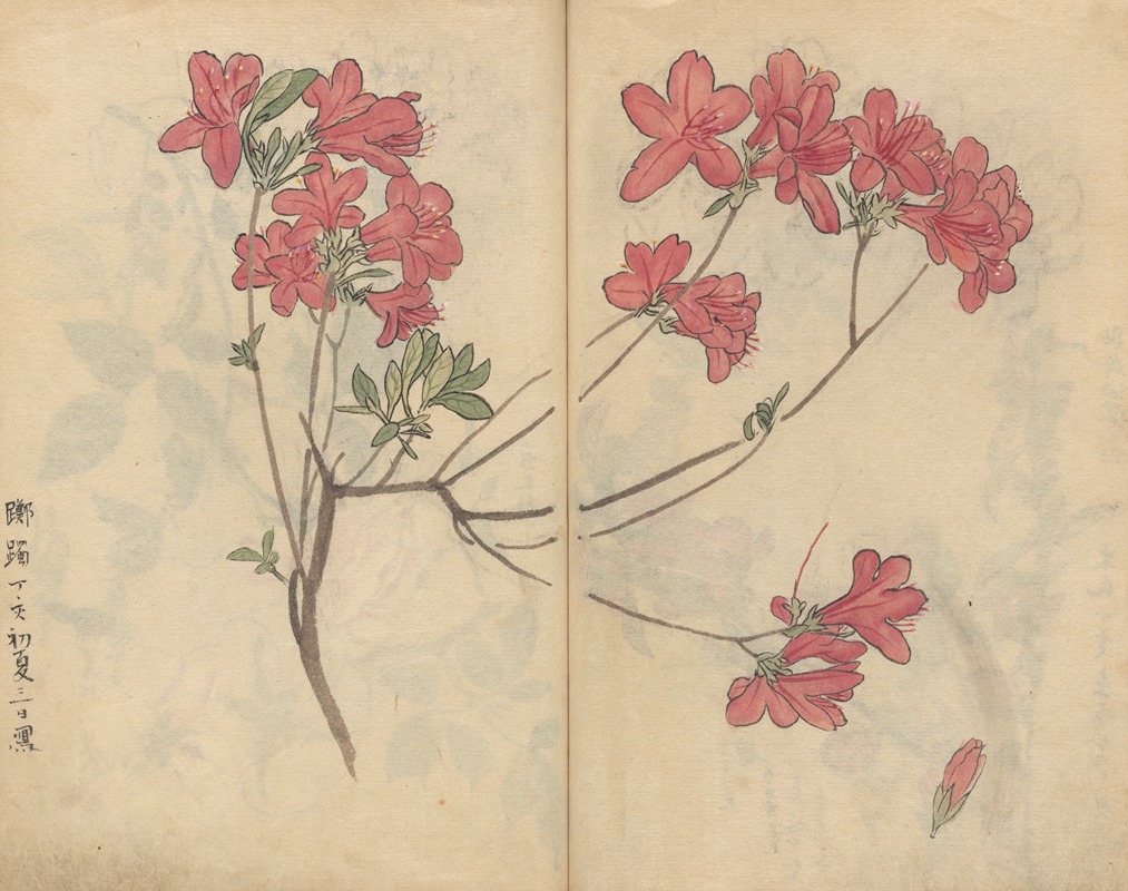 Sketchbook Pl.056 by Ariyoshi Kondo, 1826-1840 — digital art print download