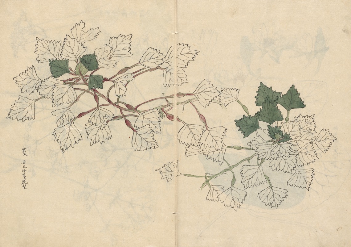 Sketchbook Pl.057 by Ariyoshi Kondo, 1826-1840 — digital art print download