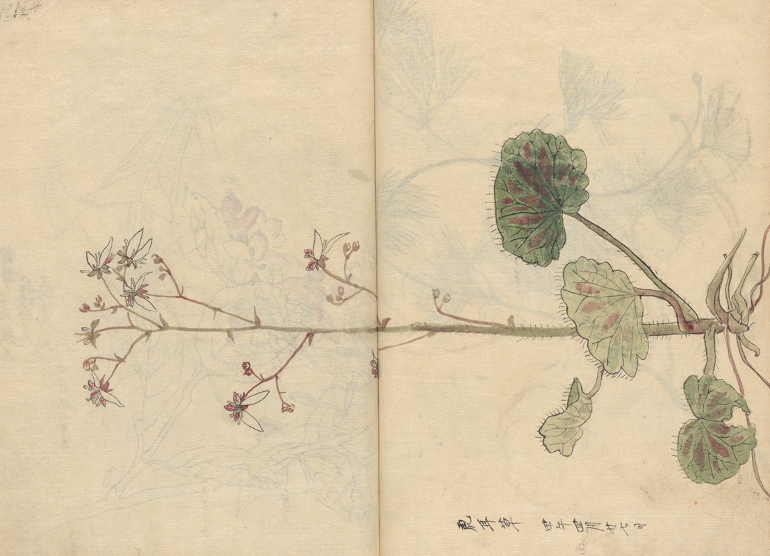 Sketchbook Pl.061 by Ariyoshi Kondo, 1826-1840 — digital art print download