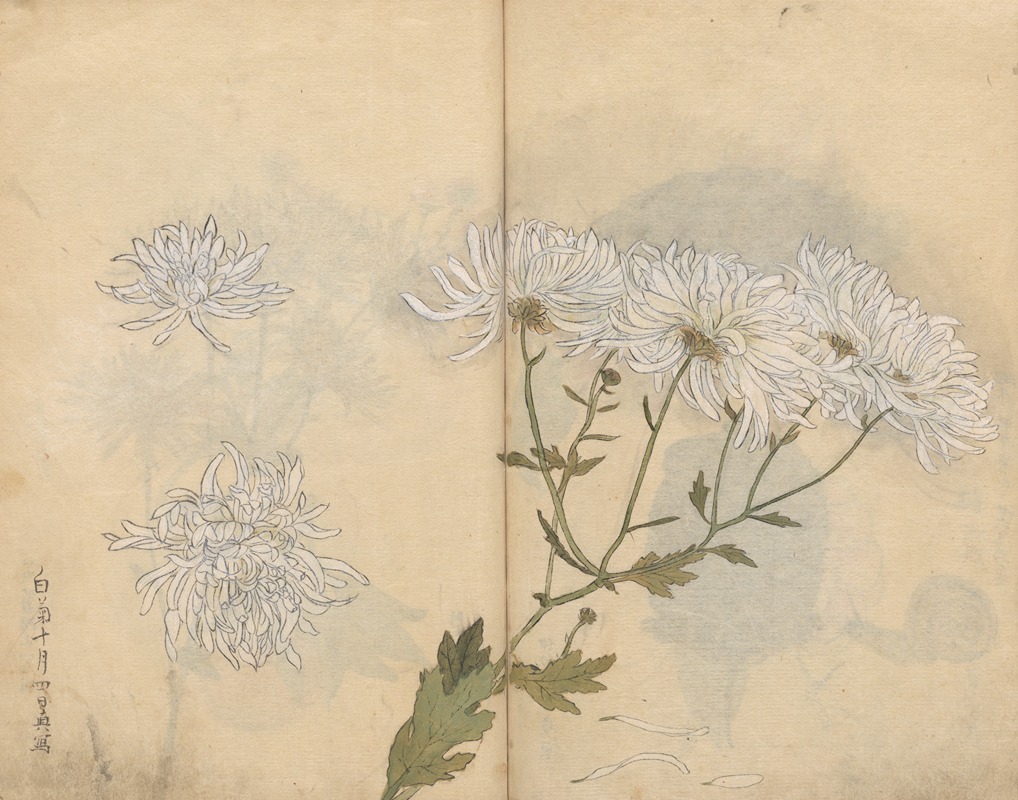 Sketchbook Pl.063 by Ariyoshi Kondo, 1826-1840 — digital art print download