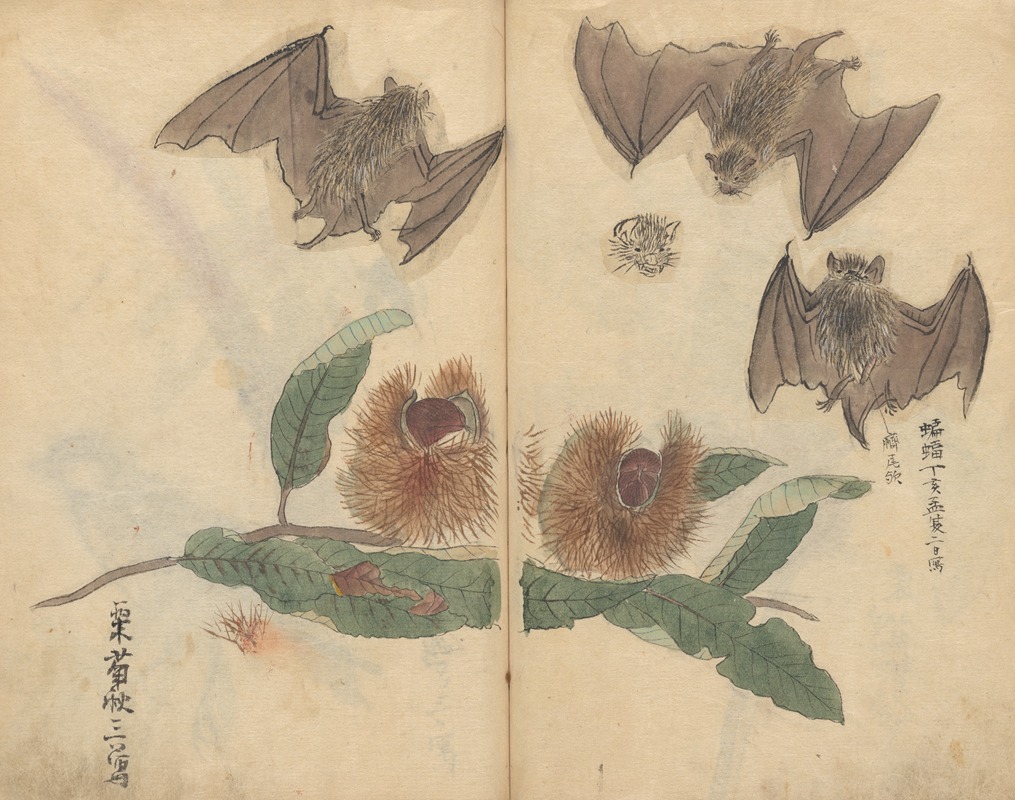 Sketchbook Pl.064 by Ariyoshi Kondo, 1826-1840 — digital art print download