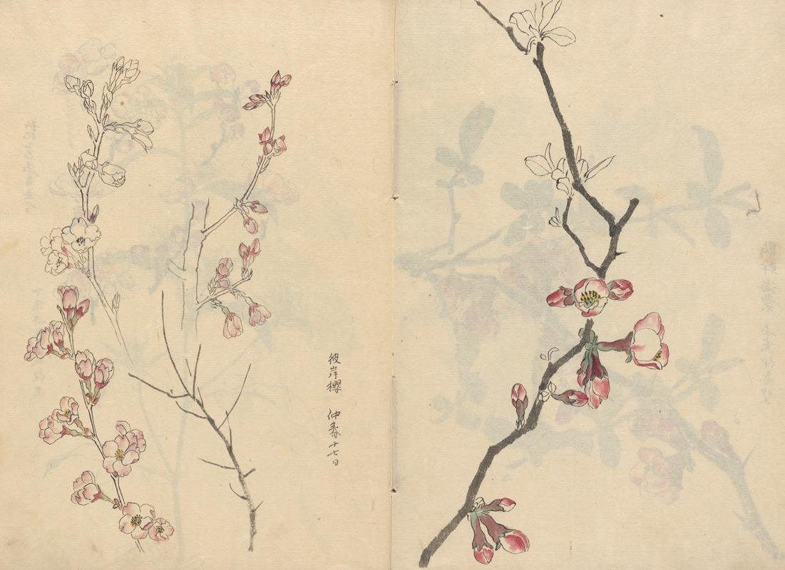 Sketchbook Pl.067 by Ariyoshi Kondo, 1826-1840 — digital art print download