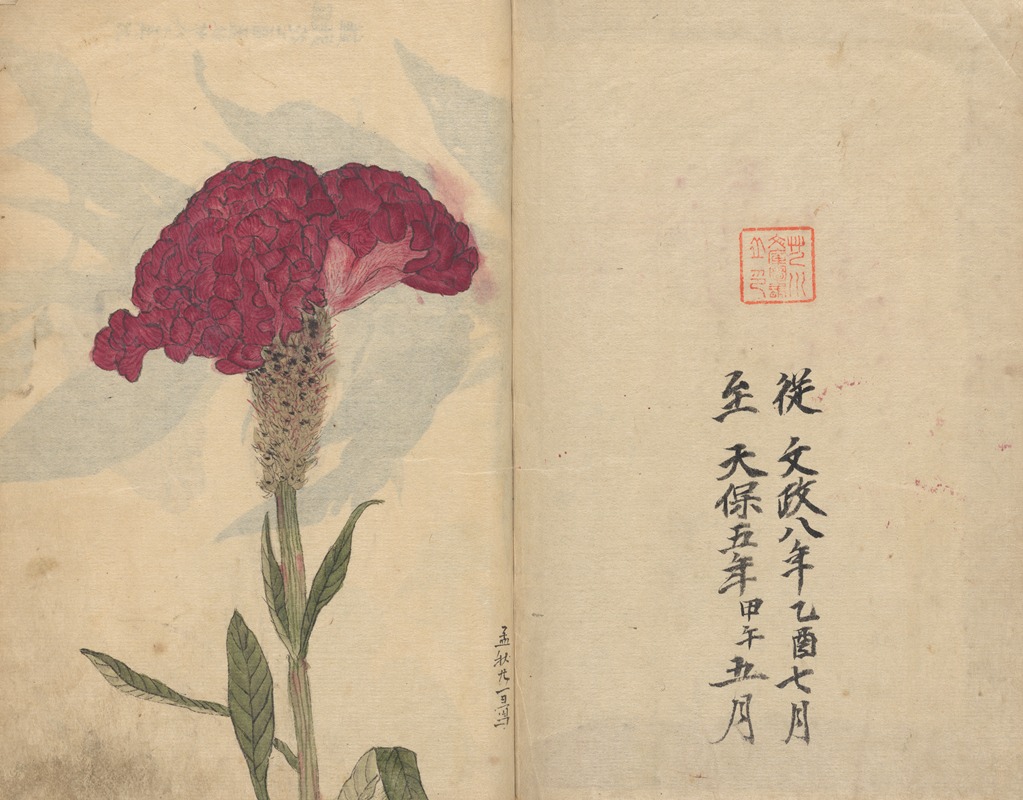 Sketchbook Pl.068 by Ariyoshi Kondo, 1826-1840 — digital art print download