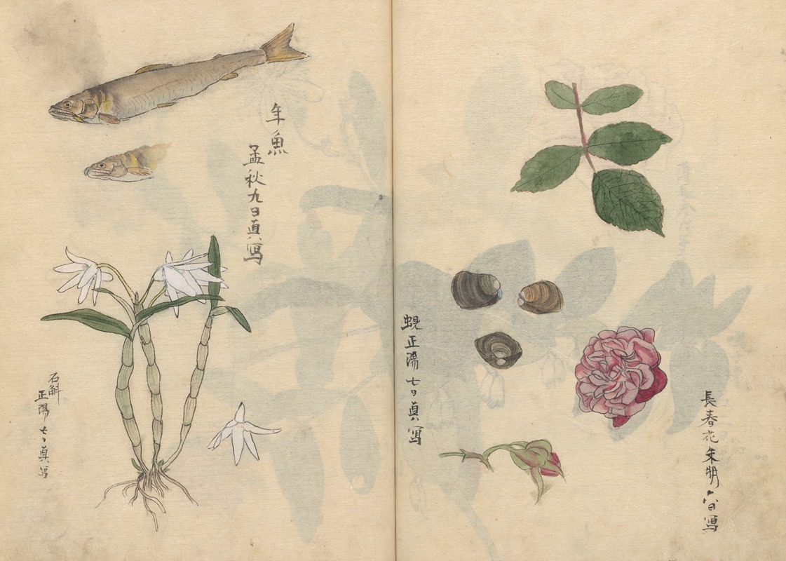Sketchbook Pl.069 by Ariyoshi Kondo, 1826-1840 — digital art print download