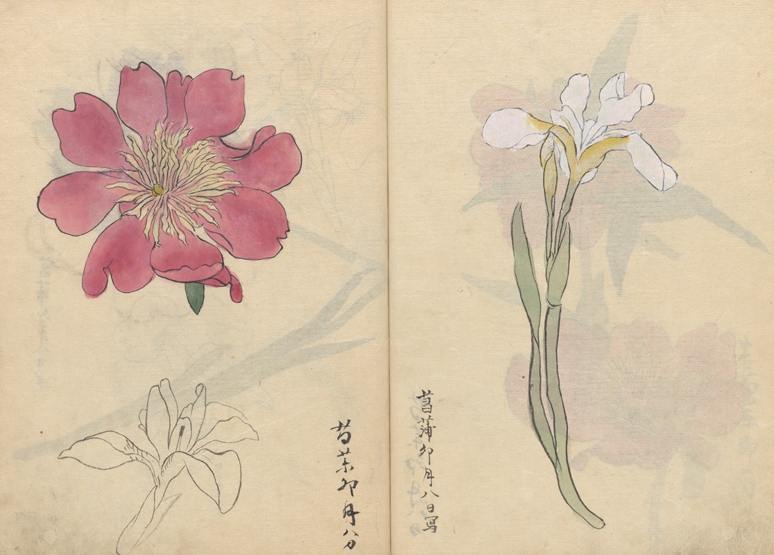 Sketchbook Pl.071 by Ariyoshi Kondo, 1826-1840 — digital art print download