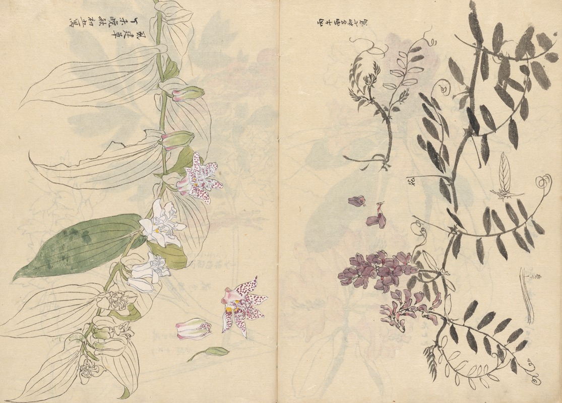 Sketchbook Pl.072 by Ariyoshi Kondo, 1826-1840 — digital art print download