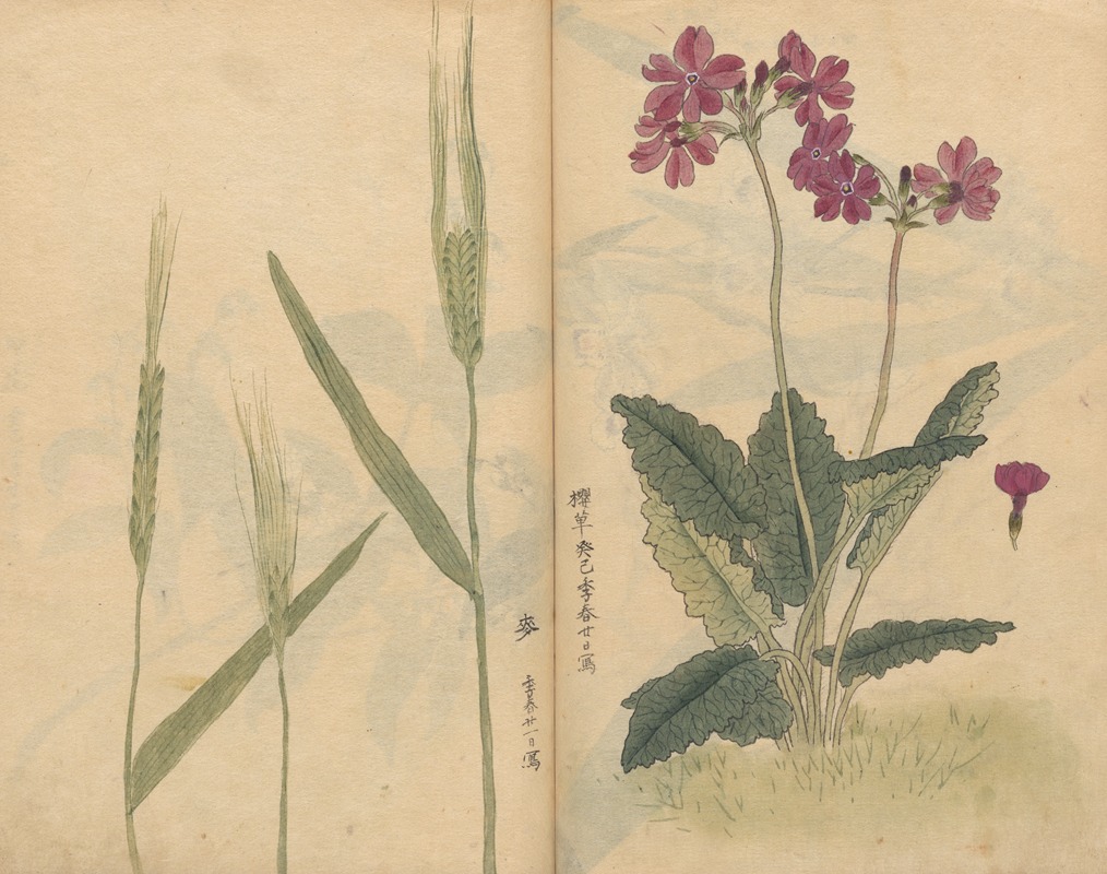 Sketchbook Pl.073 by Ariyoshi Kondo, 1826-1840 — digital art print download