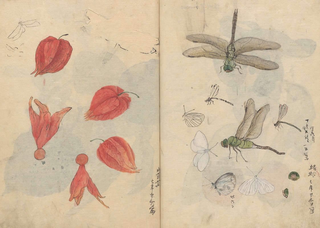 Sketchbook Pl.076 by Ariyoshi Kondo, 1826-1840 — digital art print download