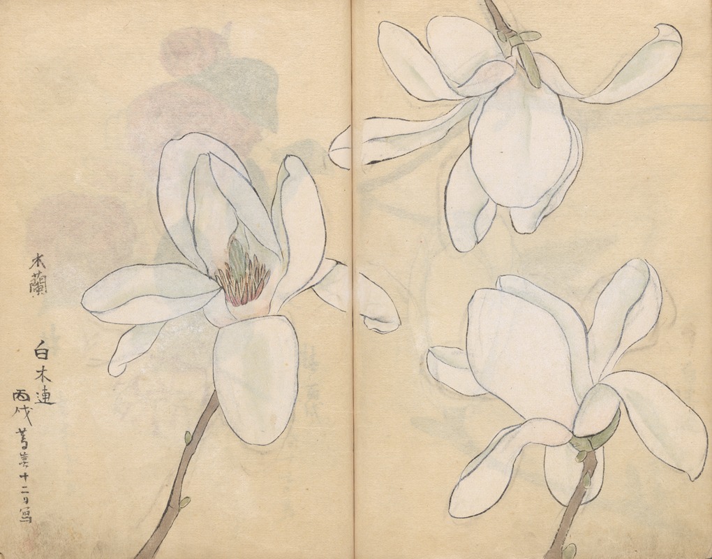 Sketchbook Pl.077 by Ariyoshi Kondo, 1826-1840 — digital art print download