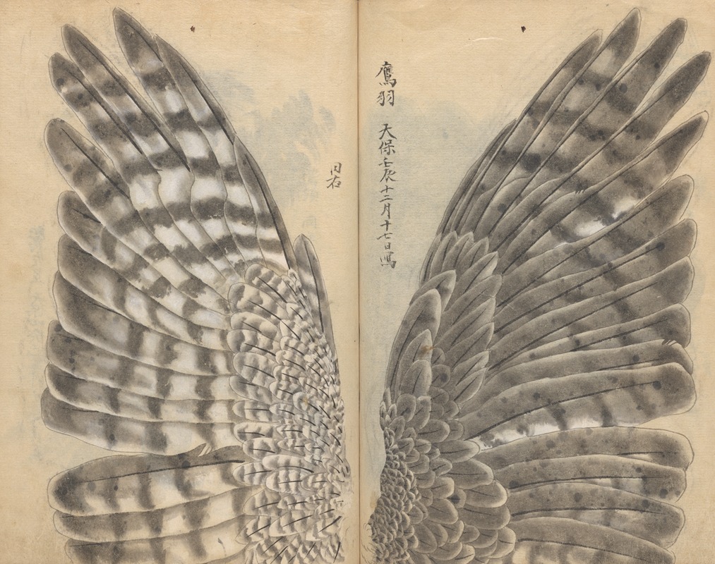 Sketchbook Pl.082 by Ariyoshi Kondo, 1826-1840 — digital art print download