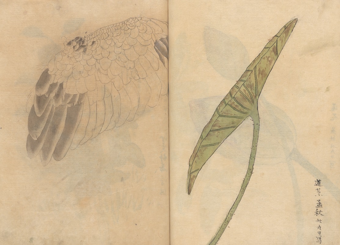 Sketchbook Pl.084 by Ariyoshi Kondo, 1826-1840 — digital art print download