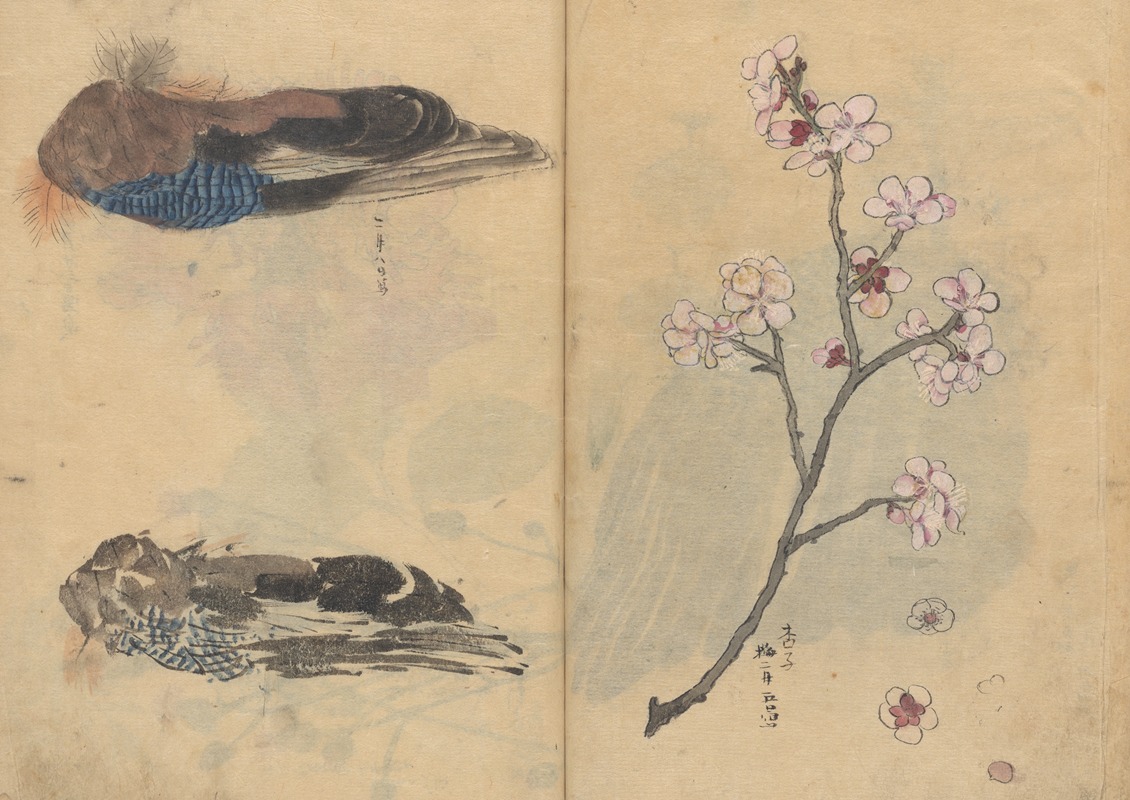 Sketchbook Pl.086 by Ariyoshi Kondo, 1826-1840 — digital art print download