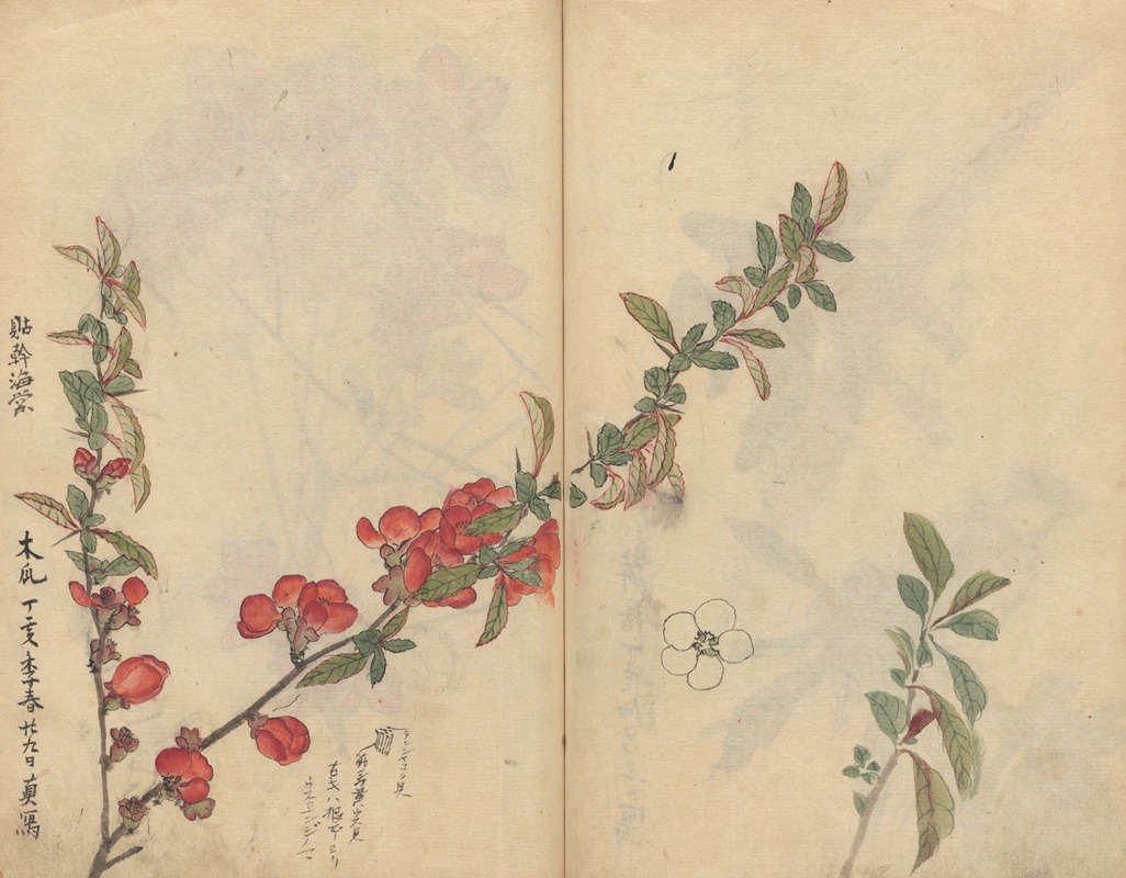 Sketchbook Pl.090 by Ariyoshi Kondo, 1826-1840 — digital art print download