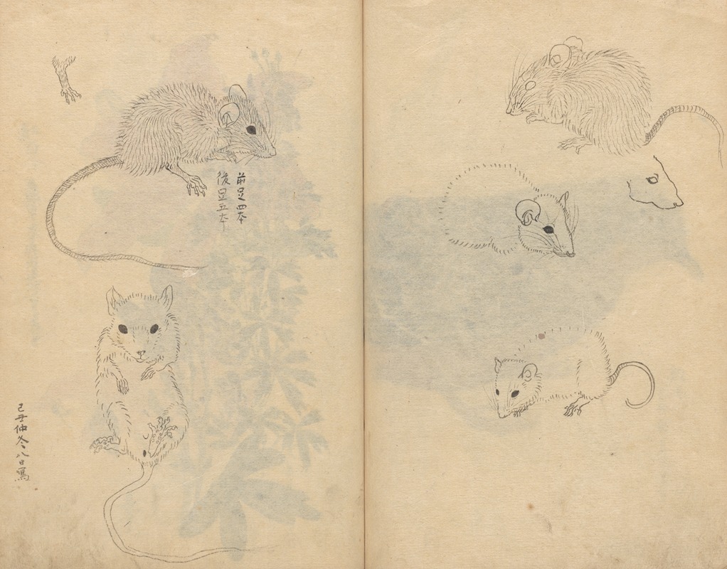 Sketchbook Pl.092 by Ariyoshi Kondo, 1826-1840 — digital art print download