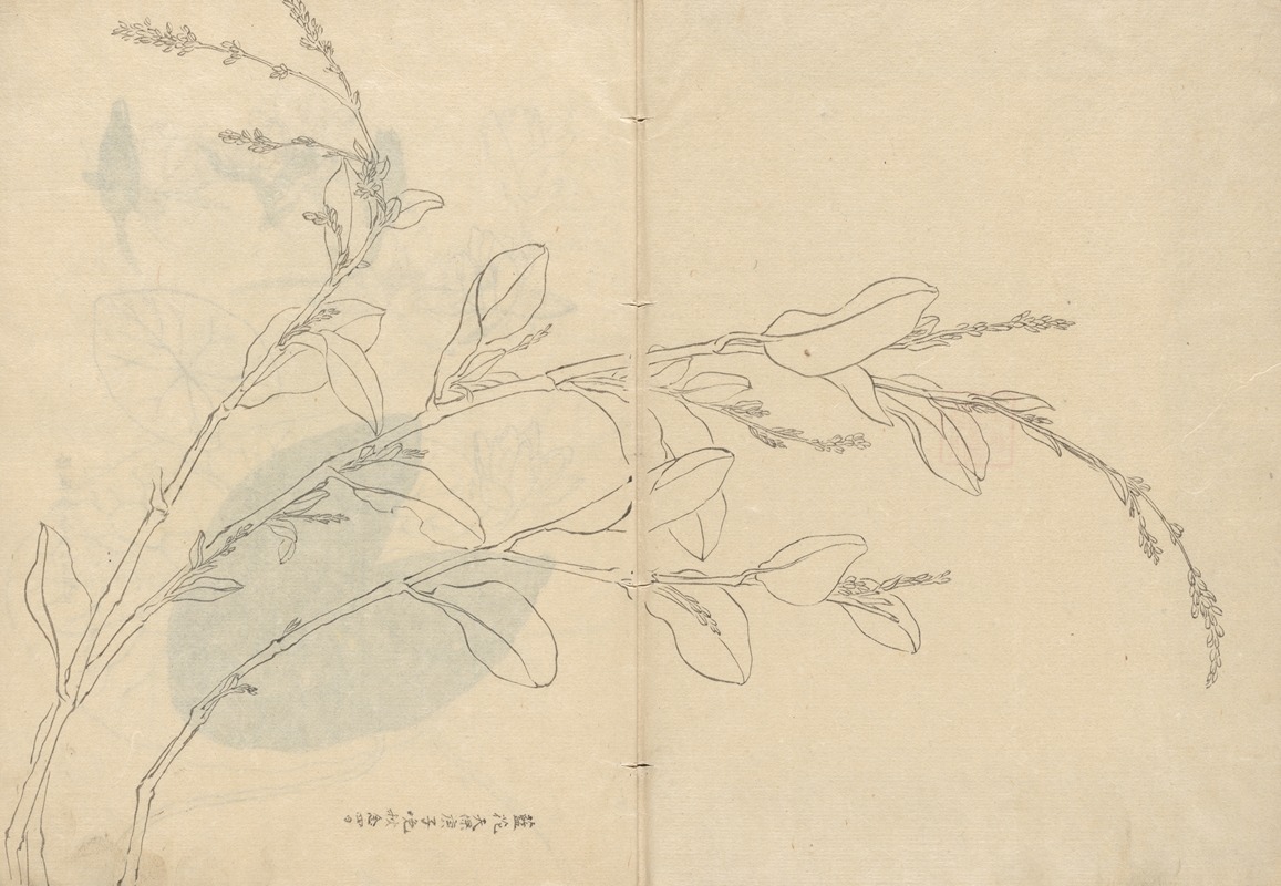 Sketchbook Pl.093 by Ariyoshi Kondo, 1826-1840 — digital art print download