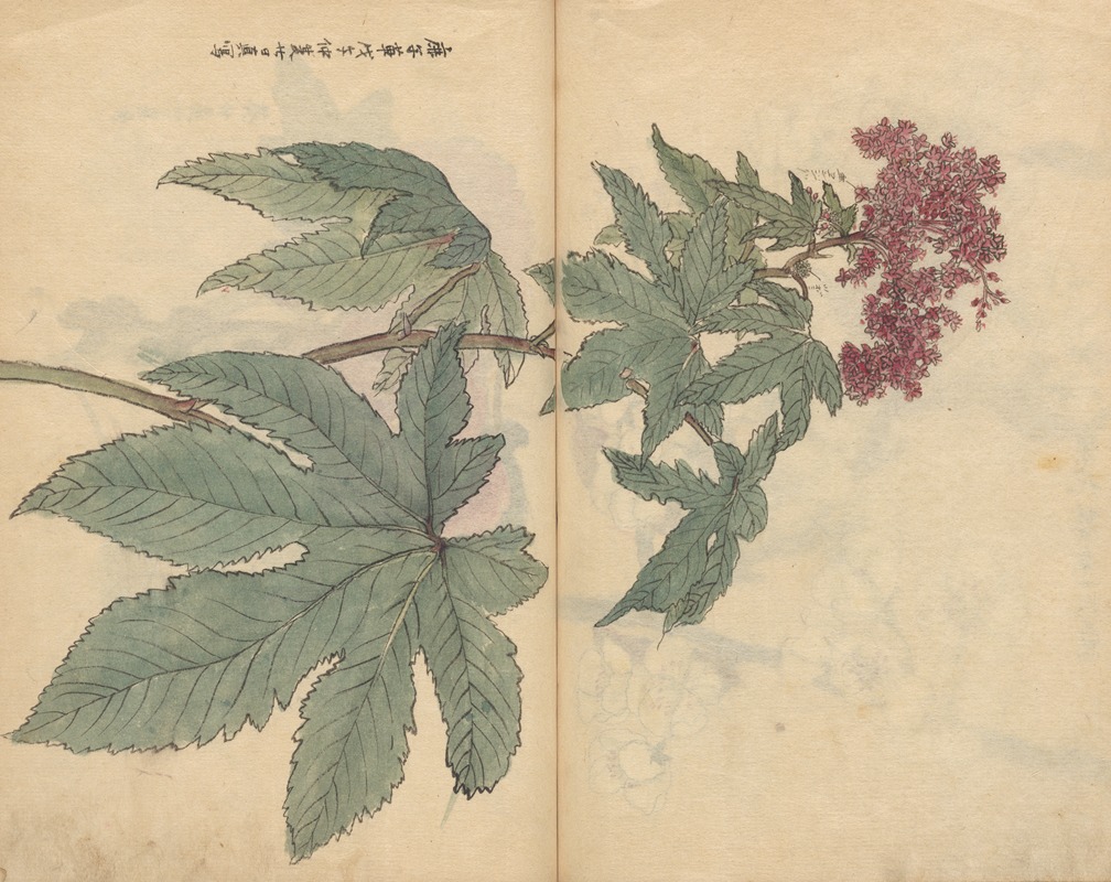 Sketchbook Pl.095 by Ariyoshi Kondo, 1826-1840 — digital art print download