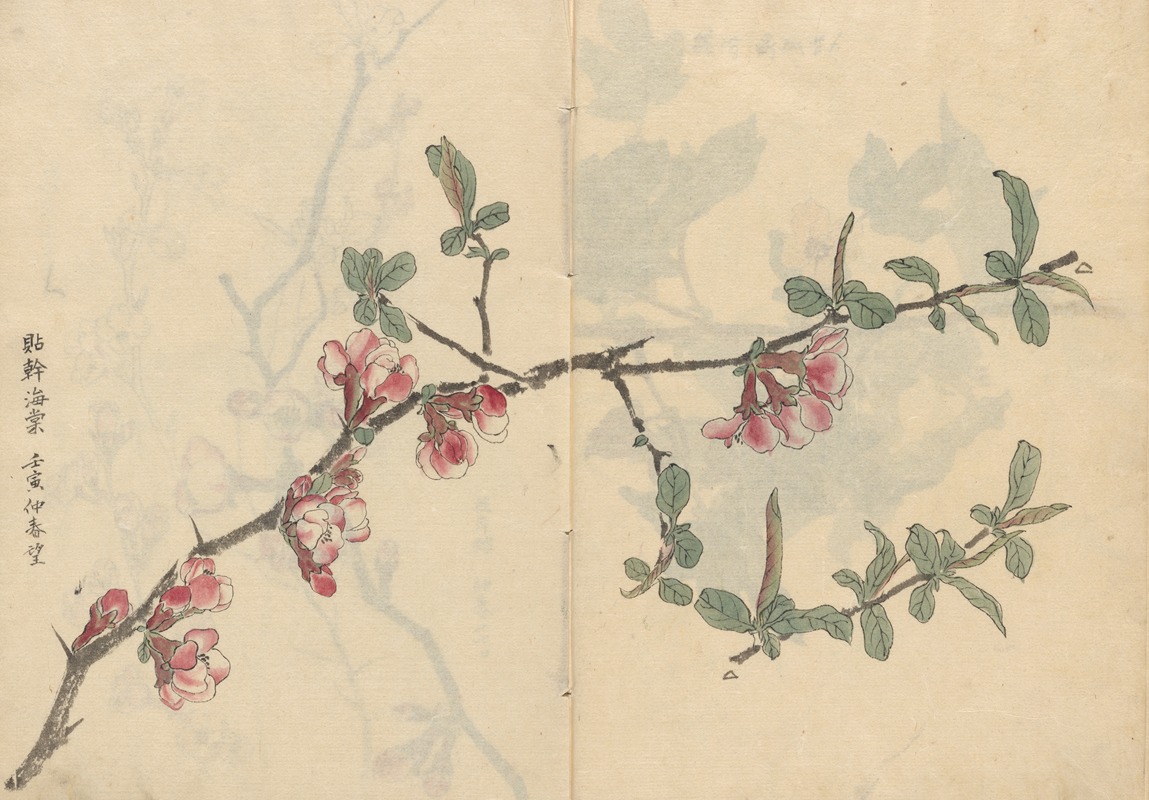 Sketchbook Pl.096 by Ariyoshi Kondo, 1826-1840 — digital art print download