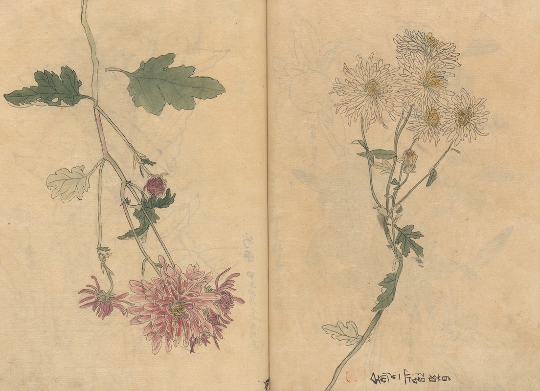Sketchbook Pl.098 by Ariyoshi Kondo, 1826-1840 — digital art print download