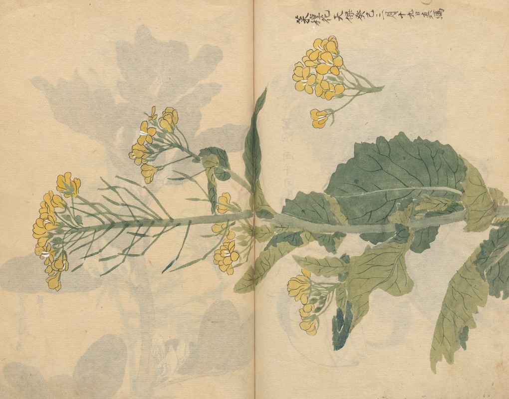 Sketchbook Pl.099 by Ariyoshi Kondo, 1826-1840 — digital art print download