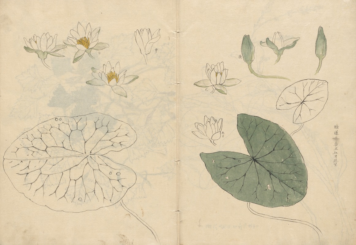 Sketchbook Pl.100 by Ariyoshi Kondo, 1826-1840 — digital art print download