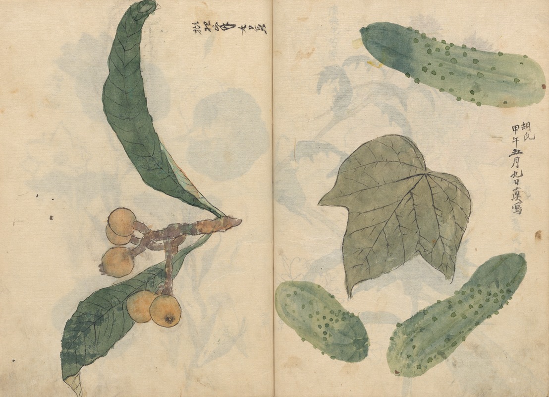 Sketchbook Pl.101 by Ariyoshi Kondo, 1826-1840 — digital art print download