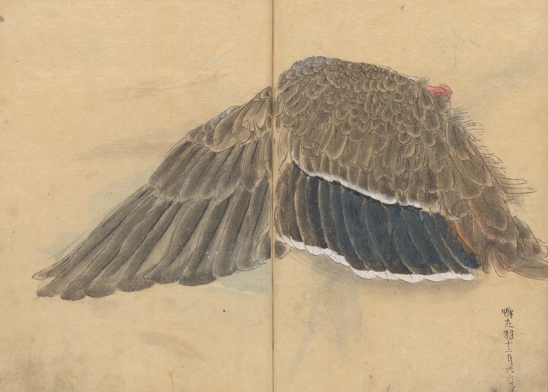 Sketchbook Pl.102 by Ariyoshi Kondo, 1826-1840 — digital art print download