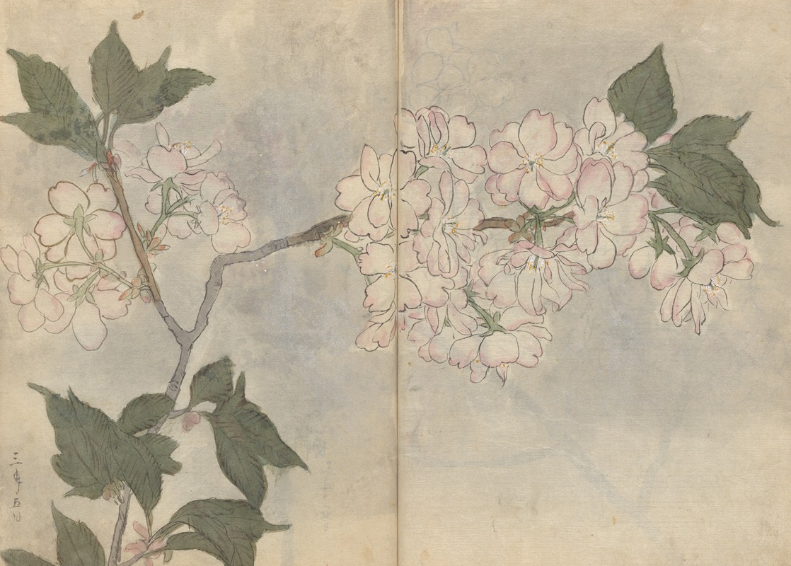 Sketchbook Pl.105 by Ariyoshi Kondo, 1826-1840 — digital art print download