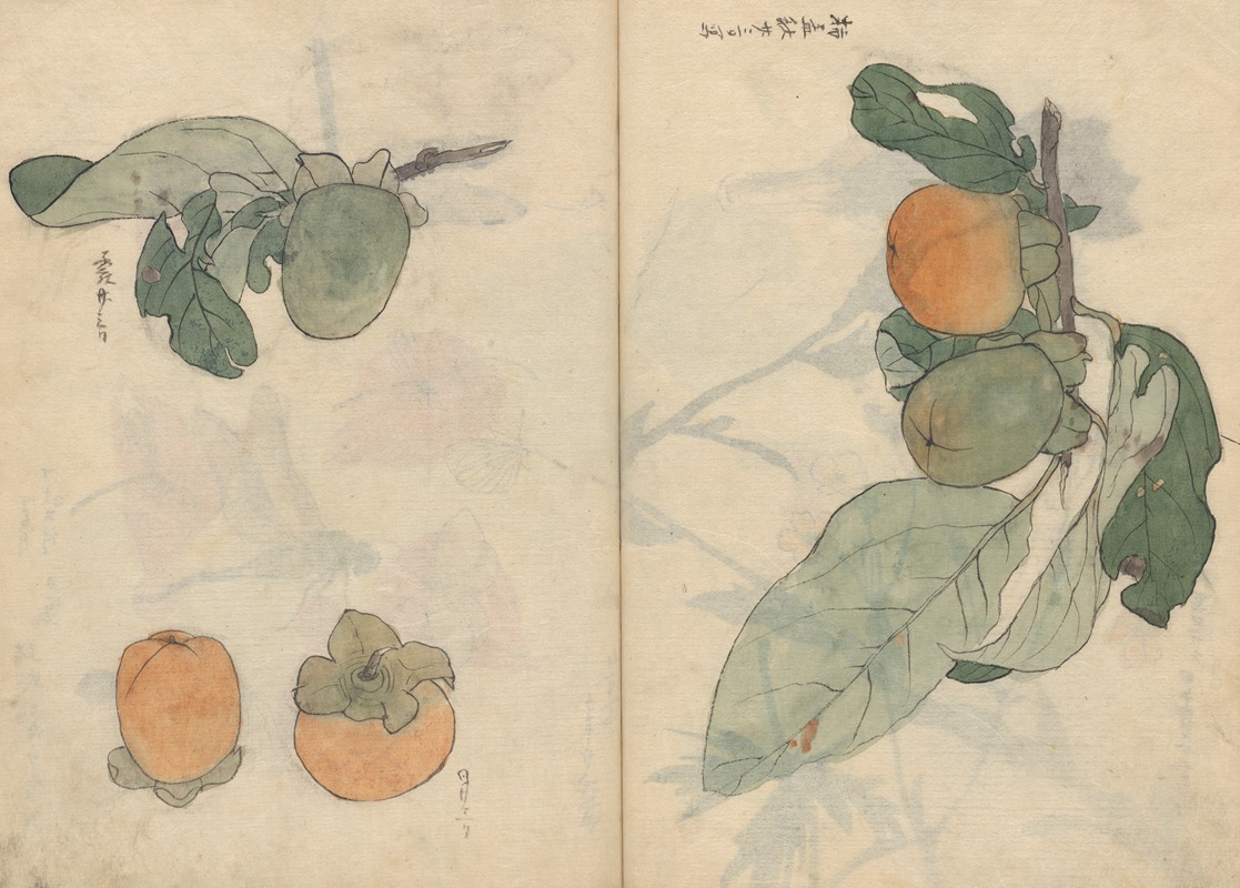 Sketchbook Pl.106 by Ariyoshi Kondo, 1826-1840 — digital art print download