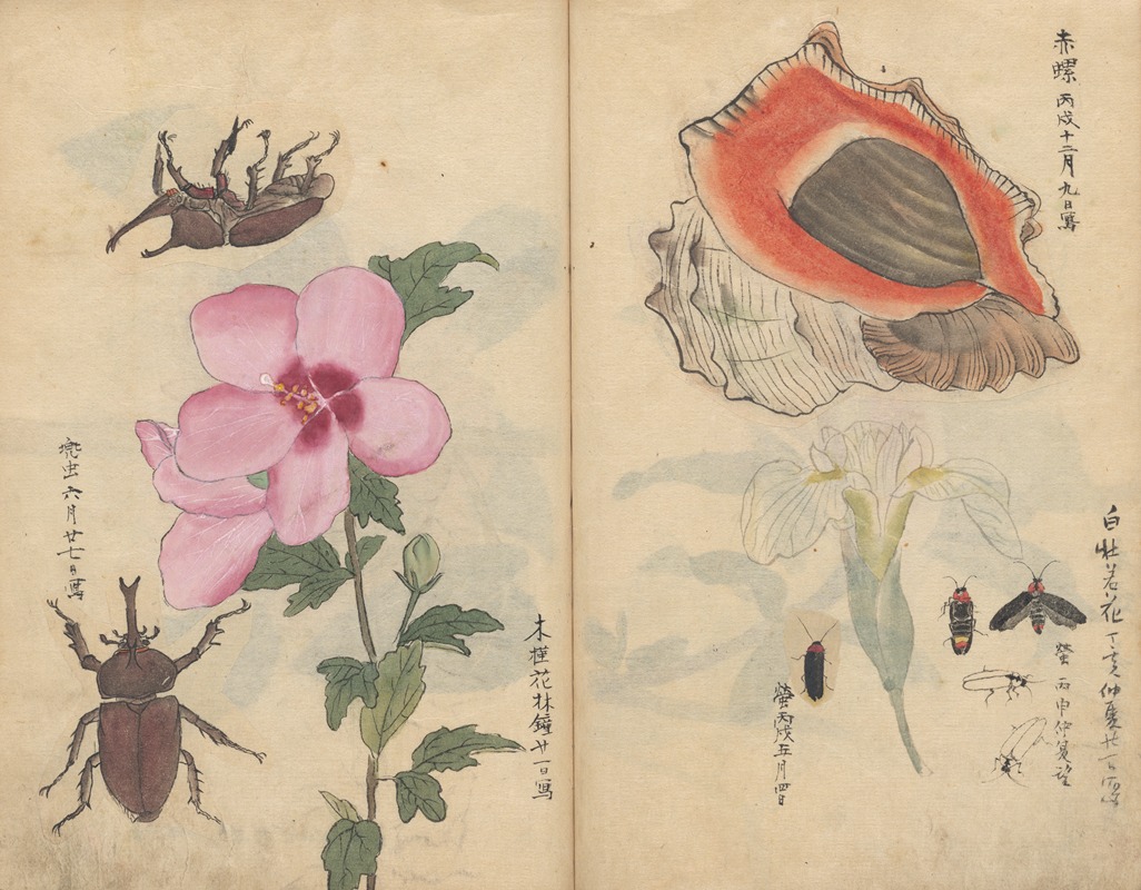 Sketchbook Pl.108 by Ariyoshi Kondo, 1826-1840 — digital art print download
