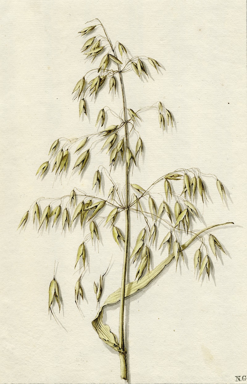 Rijpe haver by Barend Hendrik Thier — digital art print download