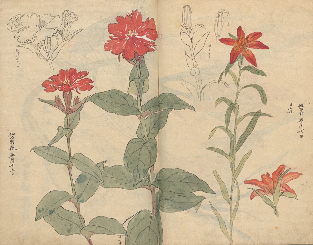 Sketchbook Pl.111 by Ariyoshi Kondo, 1826-1840 — digital art print download