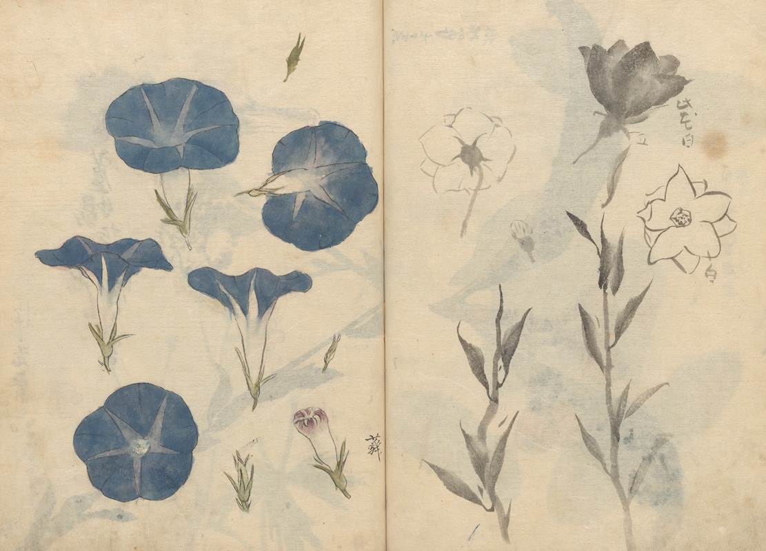 Sketchbook Pl.112 by Ariyoshi Kondo, 1826-1840 — digital art print download