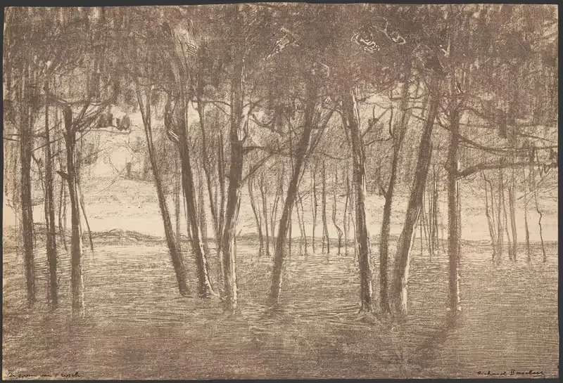 The edge of the forest — Richard Baseleer