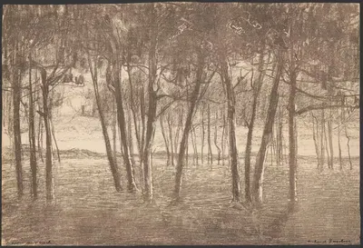 The edge of the forest by Richard Baseleer — digital art print download