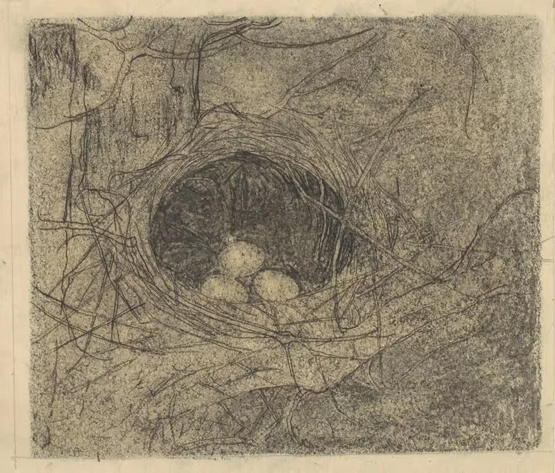Гнездо с тремя яйцами by Ян Манкес, 1900-1920 — digital art print download