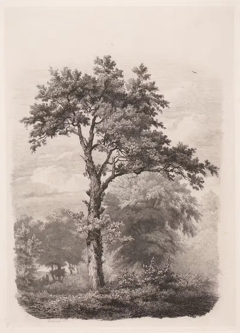 Дерево by Пьер Луи Дюбурк, 1830-1873 — digital art print download