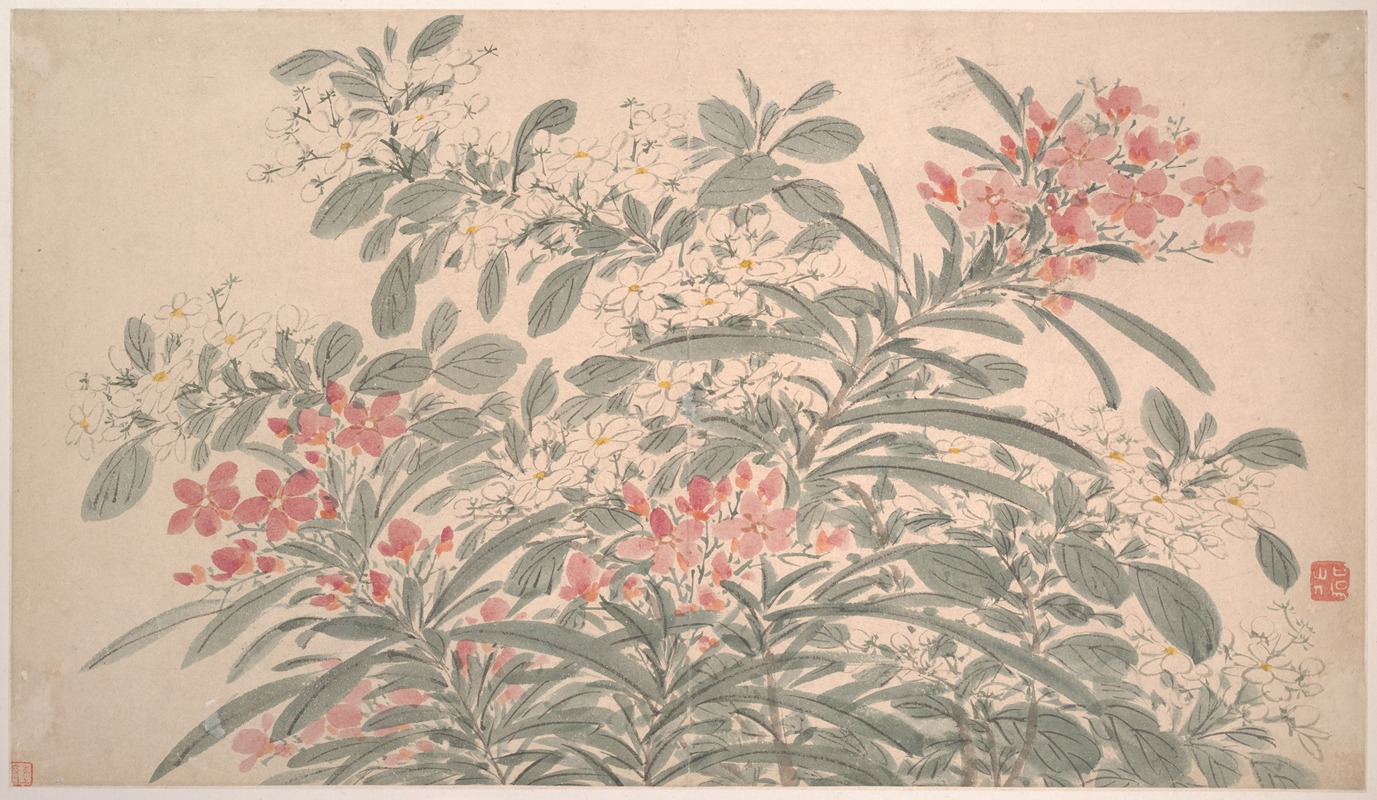 Garden Flowers Pl.09 by Чэнь Чунь, 1540 — digital art print download