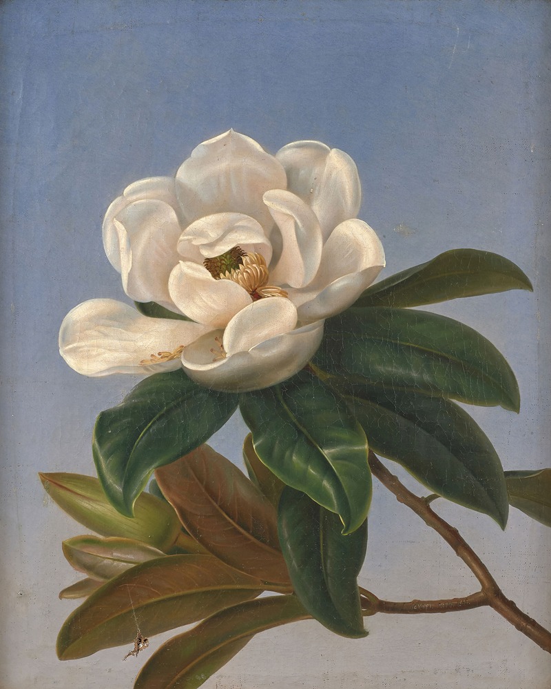 Fleur de magnolia by Johan Laurentz Jensen — digital art print download