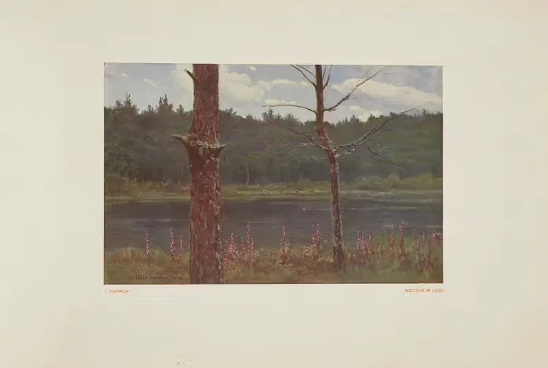 Мочар в лесу by Юзеф Рапацкий, 1925 — digital art print download