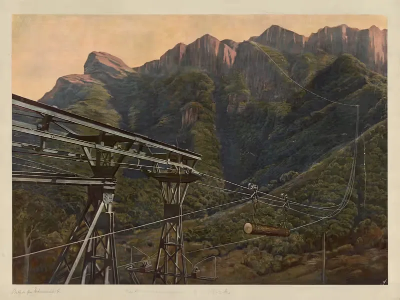 Air transport in Africa — F. E. Wachsmuth